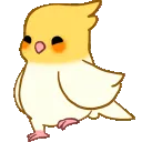 happi_birdstompy