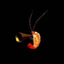 shrimpleybeautiful shrimpleybeautiful