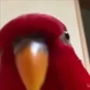BIRB