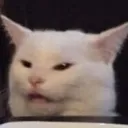 catlaugh