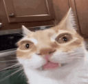 emoji_329