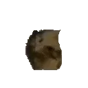 uiaspin