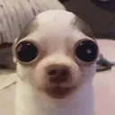 heavybreathingcreature