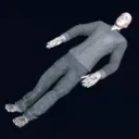 body