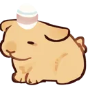 k9_z_BNNUYEGGHEAD
