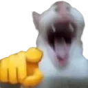 wajaja