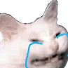 CattoCry