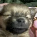 cooked_but_dawg