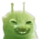 xdglorp xdglorp