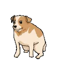 heads_will_roll