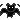black_bat