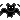 black_bat