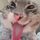 mlem
