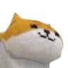 calico_kitten