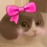 hemmycute