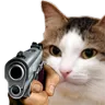 catgun
