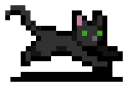 RainbowCatEVILVS