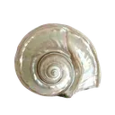 download__3_removebgpreview