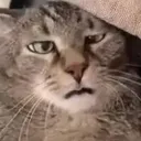 a_