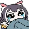 KyaruMeoMeo