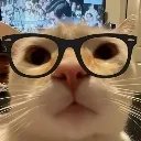CatNerd