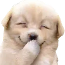 doggo_giggle