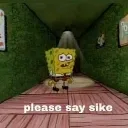 pleasesaysike