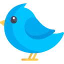 bluebird