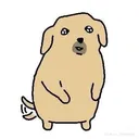 domgomgoodboy domgomgoodboy