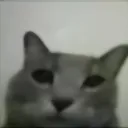 CA CA