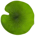 3_lilypad