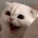 y_anger