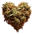 nate420Heart