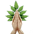 nate420Pray