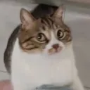 emm
