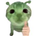 cat_yeah