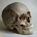 skullemoji