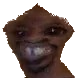 intrus Discord emoji