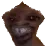:intrus: intrus