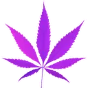 weed_leaf weed_leaf