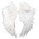 wings