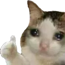 thumbsupcrying thumbsupcrying