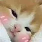 Cute