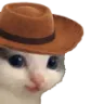 meowdy