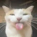 bleh