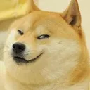 evil_doge