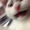 fast_car