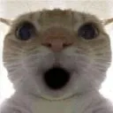 WOOOO