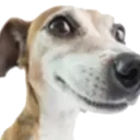 huh