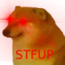 STFUP